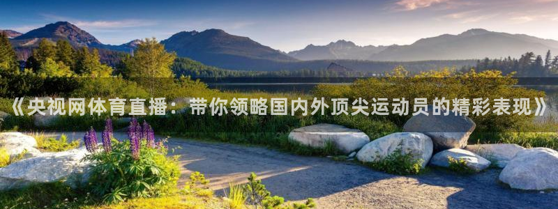 黑白体育app官网入口