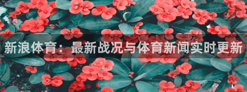 黑白体育在线直播官网：新浪体育：最新战况与体育新闻实时更新