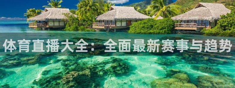 黑白直播jrs直播nba：体育直播大全：全面最新赛事与趋势