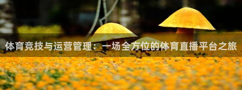 体育黑白直播：体育竞技与运营管理：一场全方位的体育直播平台之旅