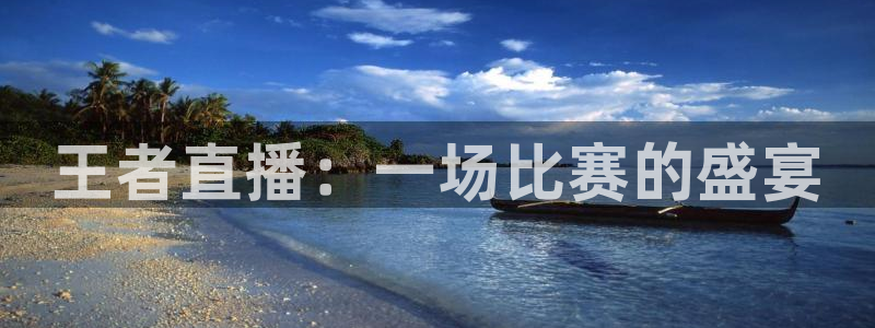nba黑白直播免费观看：王者直播：一场比赛的盛宴