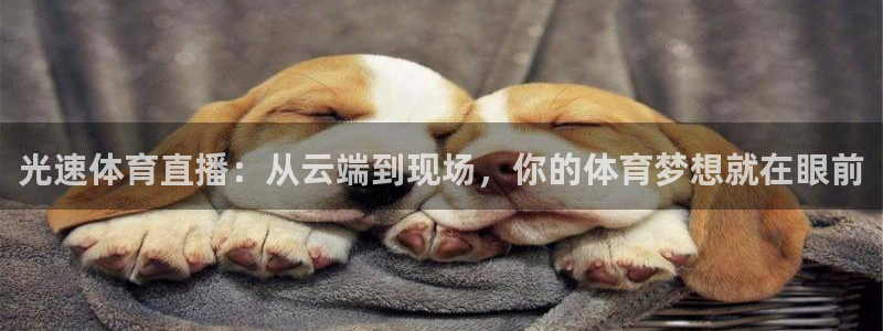 黑白直播官方免费下载：光速体育直播：从云端到现场，你的体育梦想就在眼前