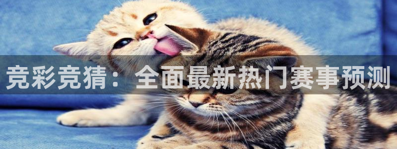 黑白直播nba火箭：竞彩竞猜：全面最新热门赛事预测