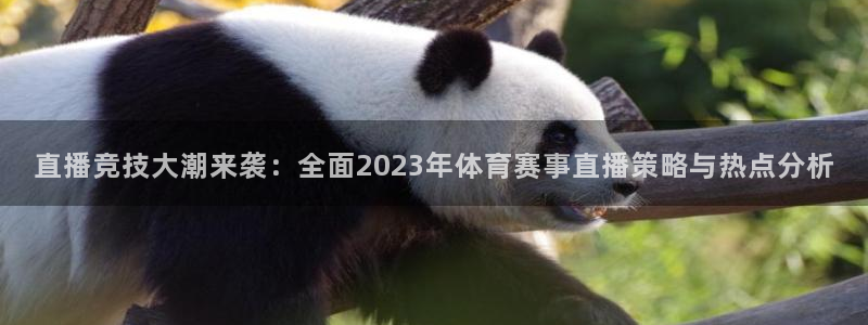 黑白nba直播在线观看免费：直播竞技大潮来袭：全面2023年体育赛事直播策略与热点分析