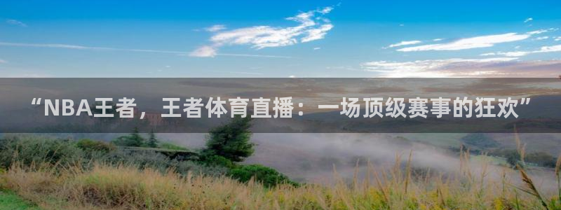 nba黑白直播体育在线观看：“NBA王者，王者体育直播：一场顶级赛事的狂欢”
