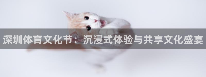 黑白视频nba直播：深圳体育文化节：沉浸式体验与共享文化盛宴