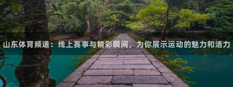 黑白直播nba免费：山东体育频道：线上赛事与精彩瞬间，为你展示运动的魅力和活力