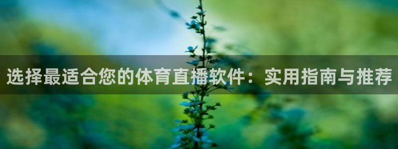 黑白直播nba免费观看：选择最适合您的体育直播软件：实用指南与推荐